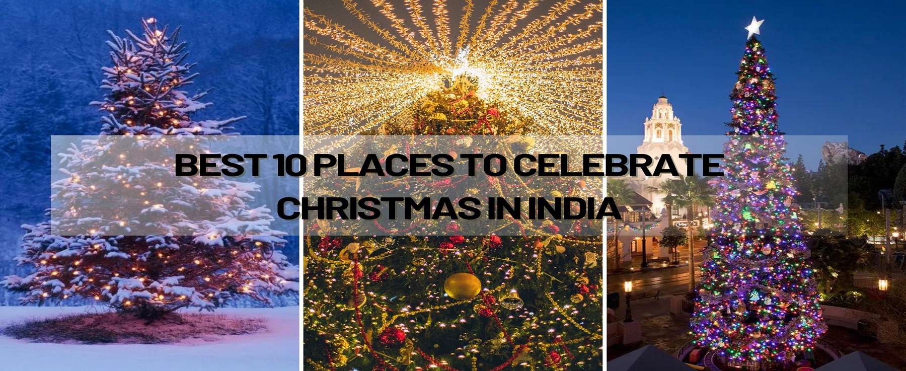 Best 10 Places To Celebrate Christmas In India