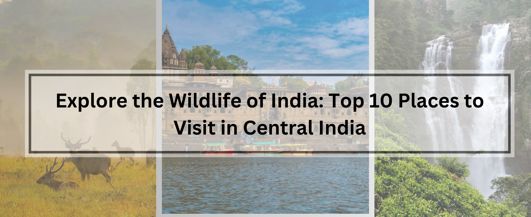 Top 10 Places to Visit in Central India