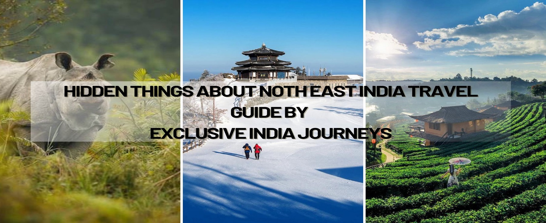 Hidden Things About The North East India - Travel Guide