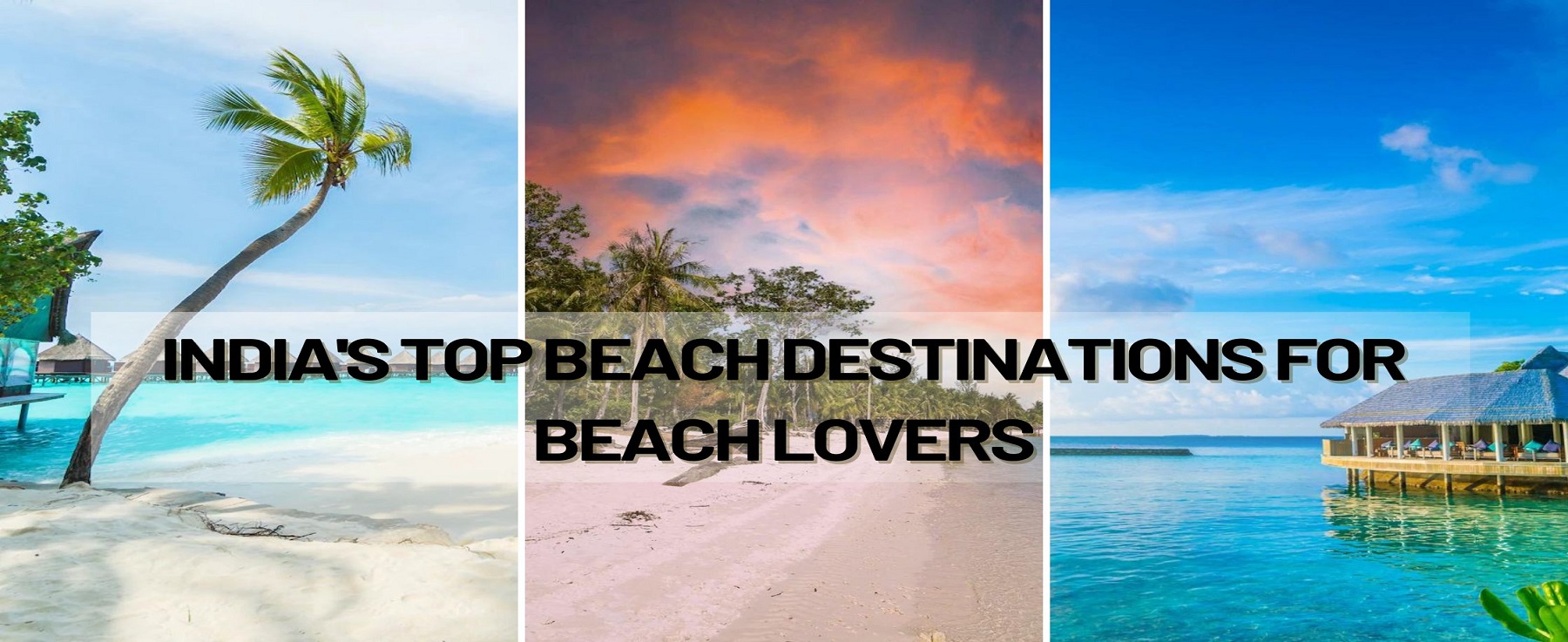 India's Top Beach Destinations For Beach Lovers