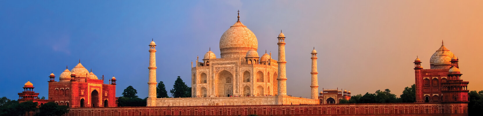 Tiger Trail With Taj Mahal