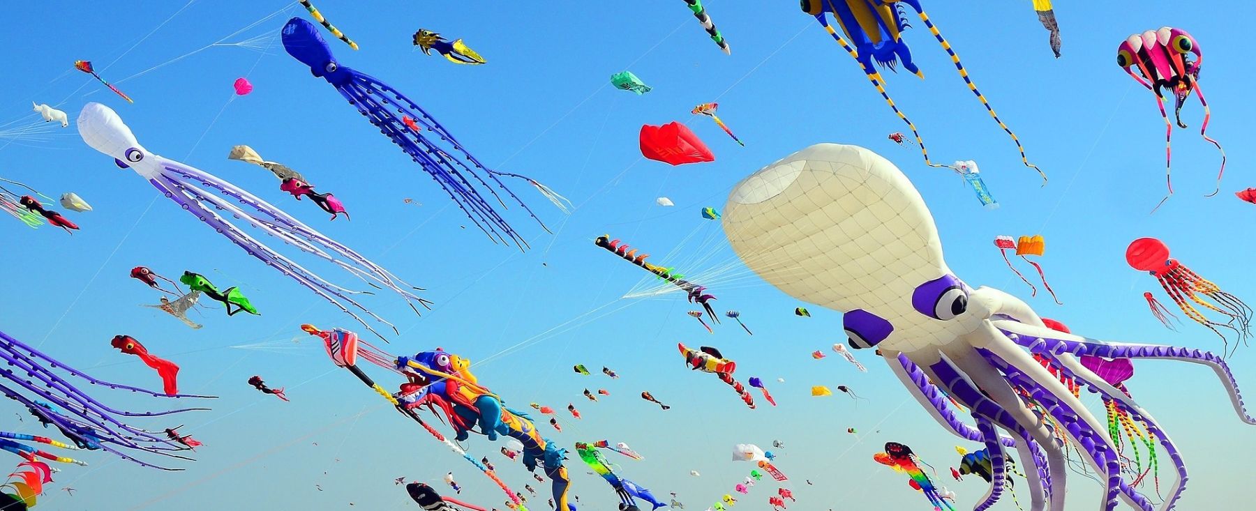International Kite Festival in India 2023